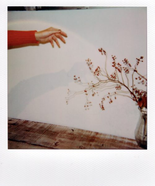 003-pola 2
